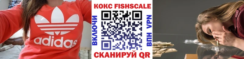 COCAIN Fish Scale  Купить где  Боровск 