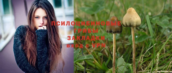 спайс Куйбышев