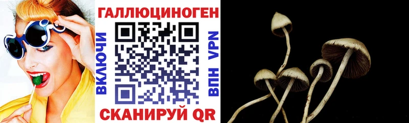 Псилоцибиновые грибы GOLDEN TEACHER Боровск