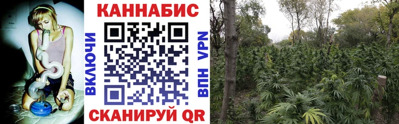 Канабис конопля  Купить где  Боровск 